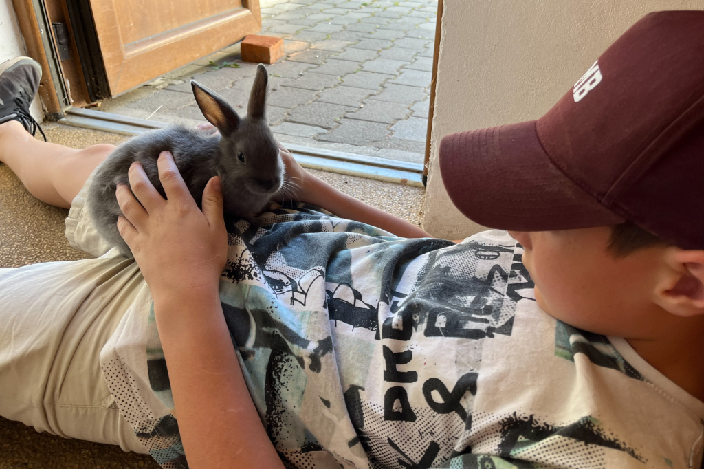 Svět zvířat (2).jpg